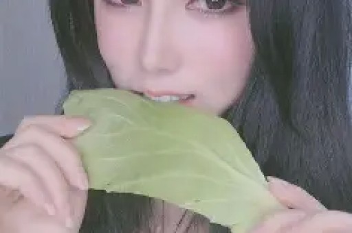歌手李琛嫖娼被劳教-大陆娱乐新闻-大陆-搜狐娱乐